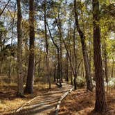 Review photo of Huntsville State Park Campground by GoWhereYouAreDraw N., April 30, 2019