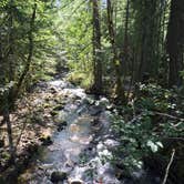 Review photo of Riley Horse Campground by Bjorn S., August 28, 2016