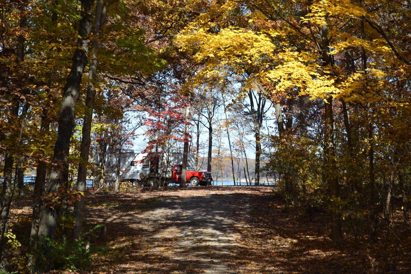 Camper submitted image from Lithia Springs - 4