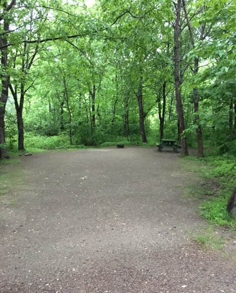 Camper submitted image from Grafton Notch Campground - 2