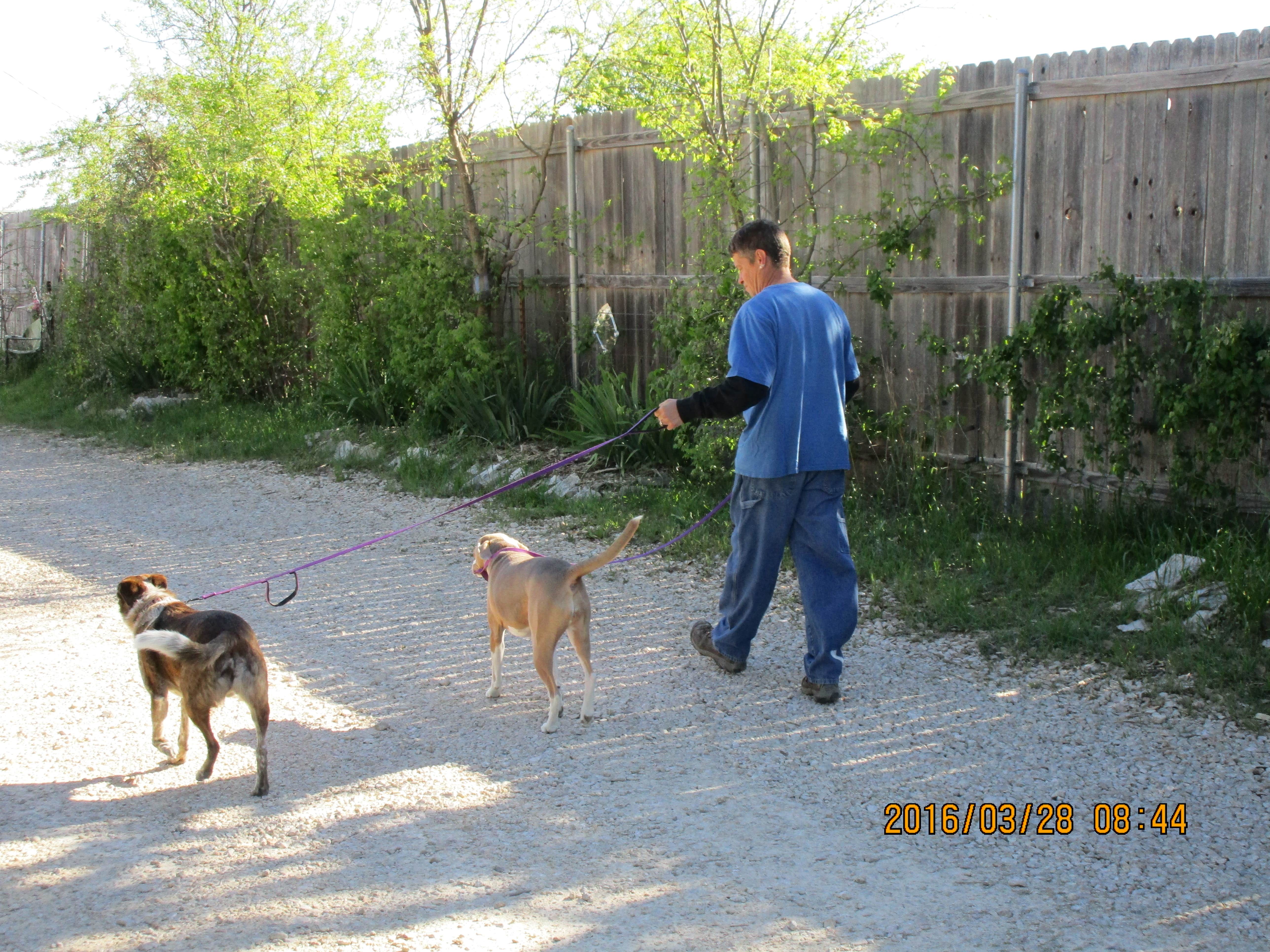 Tom B.'s photo of camping with pets at Tranquil Gardens RV Park near Copperas Cove, TX