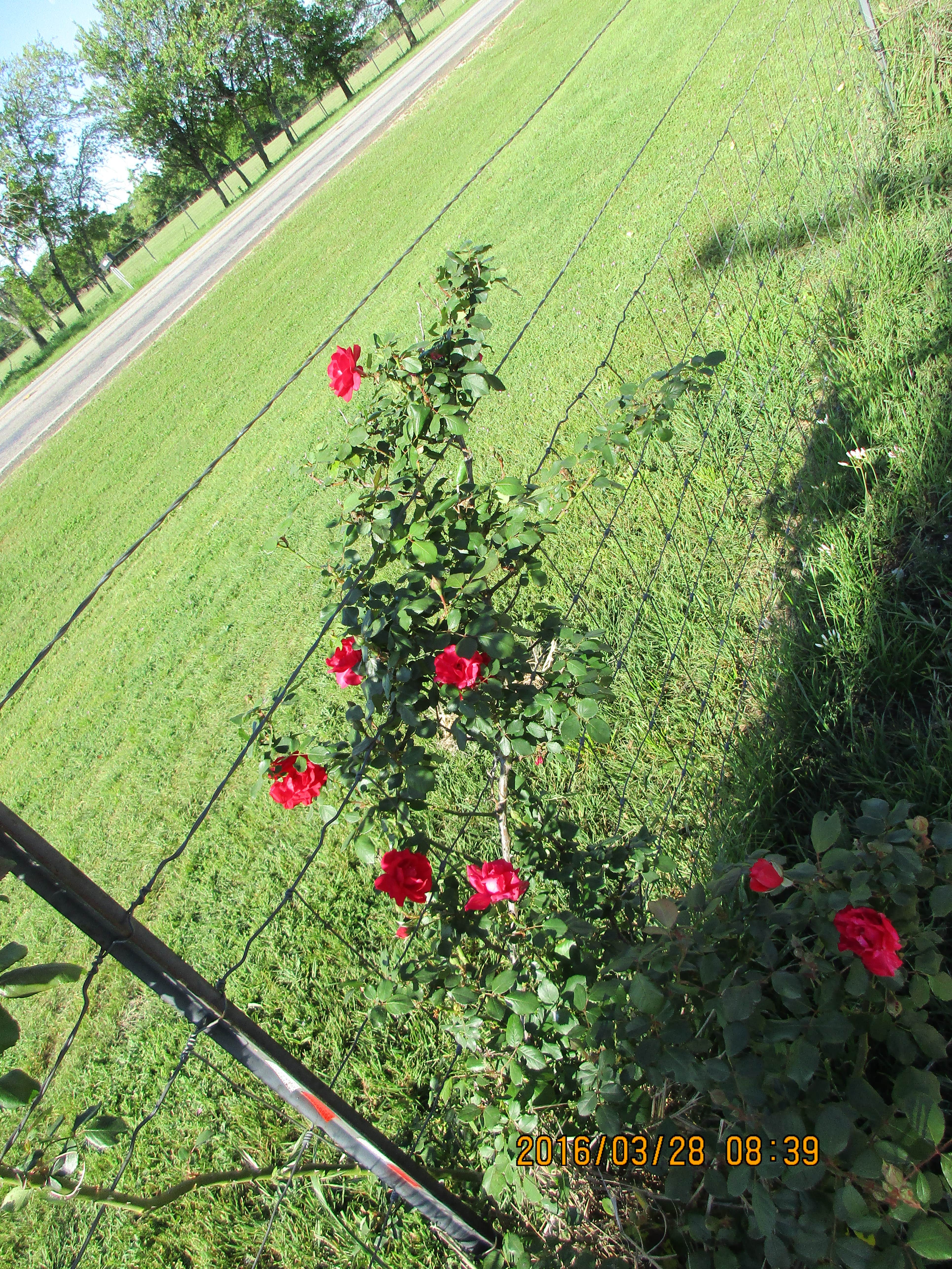 Camping near Salado Sky RV Park: Tranquil Gardens RV Park, Salado, Texas