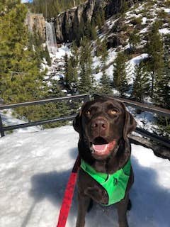 Sasha W.'s photo of camping with pets at Tumalo State Park Campground near Brothers, OR