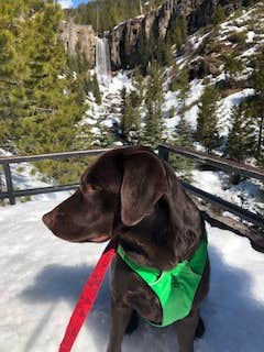 Sasha W.'s photo of camping with pets at Tumalo State Park Campground near Brothers, OR