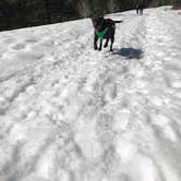 Review photo of Tumalo State Park Campground by Sasha W., April 30, 2019