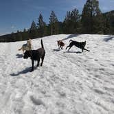 Review photo of Tumalo State Park Campground by Sasha W., April 30, 2019