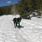 Review photo of Tumalo State Park Campground by Sasha W., April 30, 2019