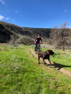 Camper submitted image from Evitts Creek Hiker-biker Overnight Campsite — Chesapeake and Ohio Canal National Historical Park - 4