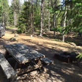 Review photo of McNeil Campground by Bjorn S., August 28, 2016