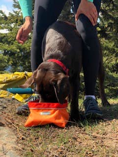 Evitts Creek Hiker-biker Overnight Campsite — Chesapeake and Ohio Canal National Historical Park