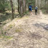 Review photo of Sipsey Wilderness Backcountry Site (Trail 203 Site A) by Asher K., April 30, 2019