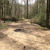 Review photo of Sipsey Wilderness Backcountry Site (Trail 203 Site A) by Asher K., April 30, 2019