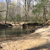 Review photo of Sipsey Wilderness Backcountry Site (Trail 203 Site A) by Asher K., April 30, 2019