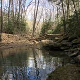 Review photo of Sipsey Wilderness Backcountry Site (Trail 203 Site A) by Asher K., April 30, 2019