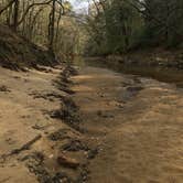 Review photo of Sipsey Wilderness Backcountry Site (Trail 203 Site A) by Asher K., April 30, 2019