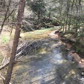 Review photo of Sipsey Wilderness Backcountry Site (Trail 203 Site A) by Asher K., April 30, 2019