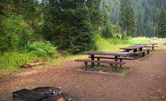 The Dyrt's photo at Cottonwood Group Picnic Site — Bridger Teton National Forest near Thayne, WY