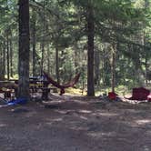 Review photo of McNeil Campground by Bjorn S., August 28, 2016