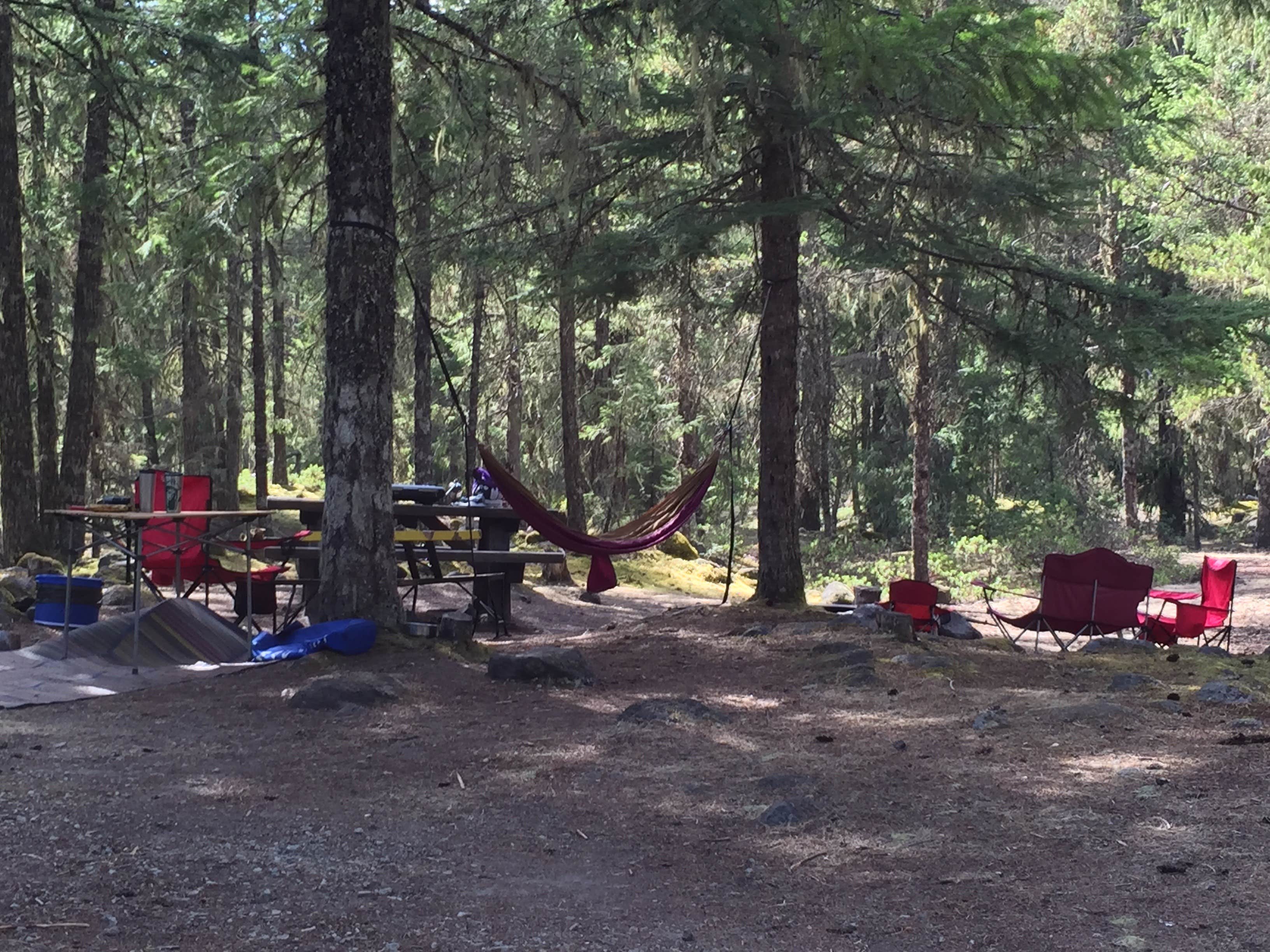 Camper submitted image from McNeil Campground - 2