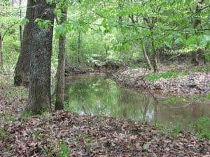 Camper submitted image from Lake Casablanca State Park - 3