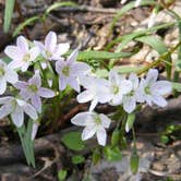 Review photo of Lake Casablanca State Park by Analia F., April 30, 2019