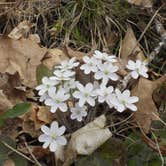 Review photo of Lake Casablanca State Park by Analia F., April 30, 2019