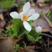 Review photo of Lake Casablanca State Park by Analia F., April 30, 2019