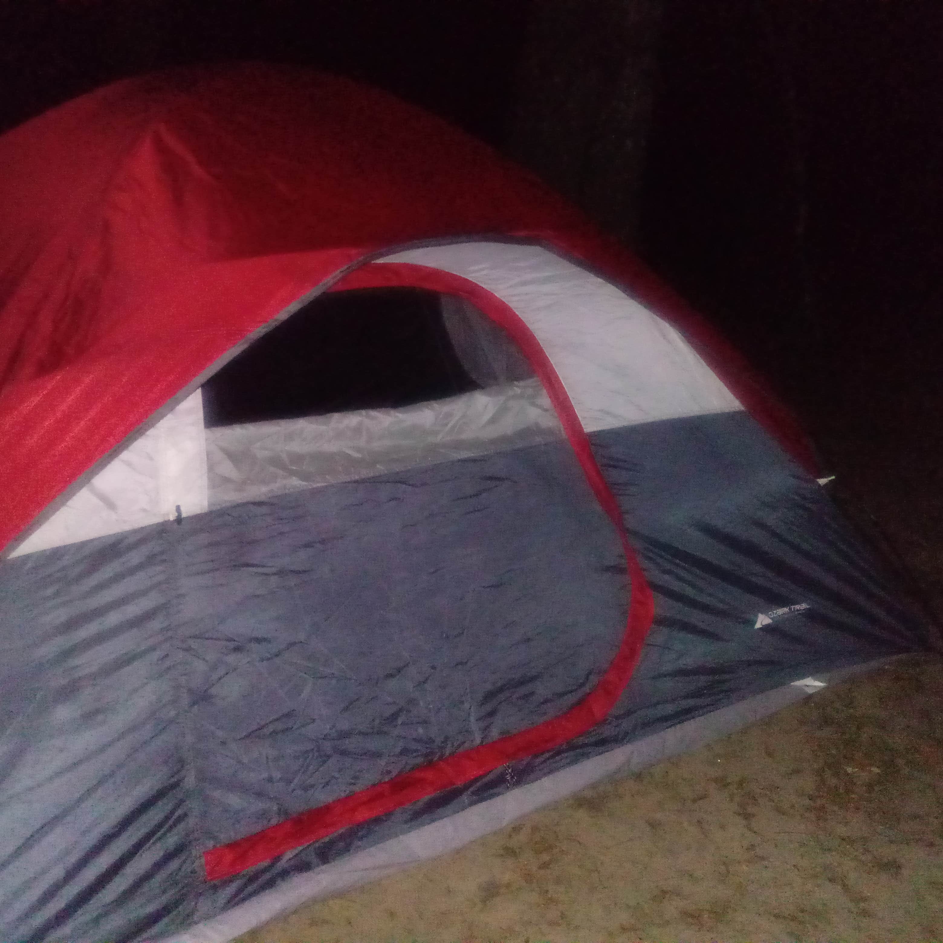 Amanda K.'s photo at Manatee Springs State Park Campground near Trenton, FL