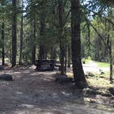 Review photo of McNeil Campground by Bjorn S., August 28, 2016