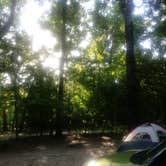 Review photo of Manatee Springs State Park Campground by Amanda K., April 30, 2019