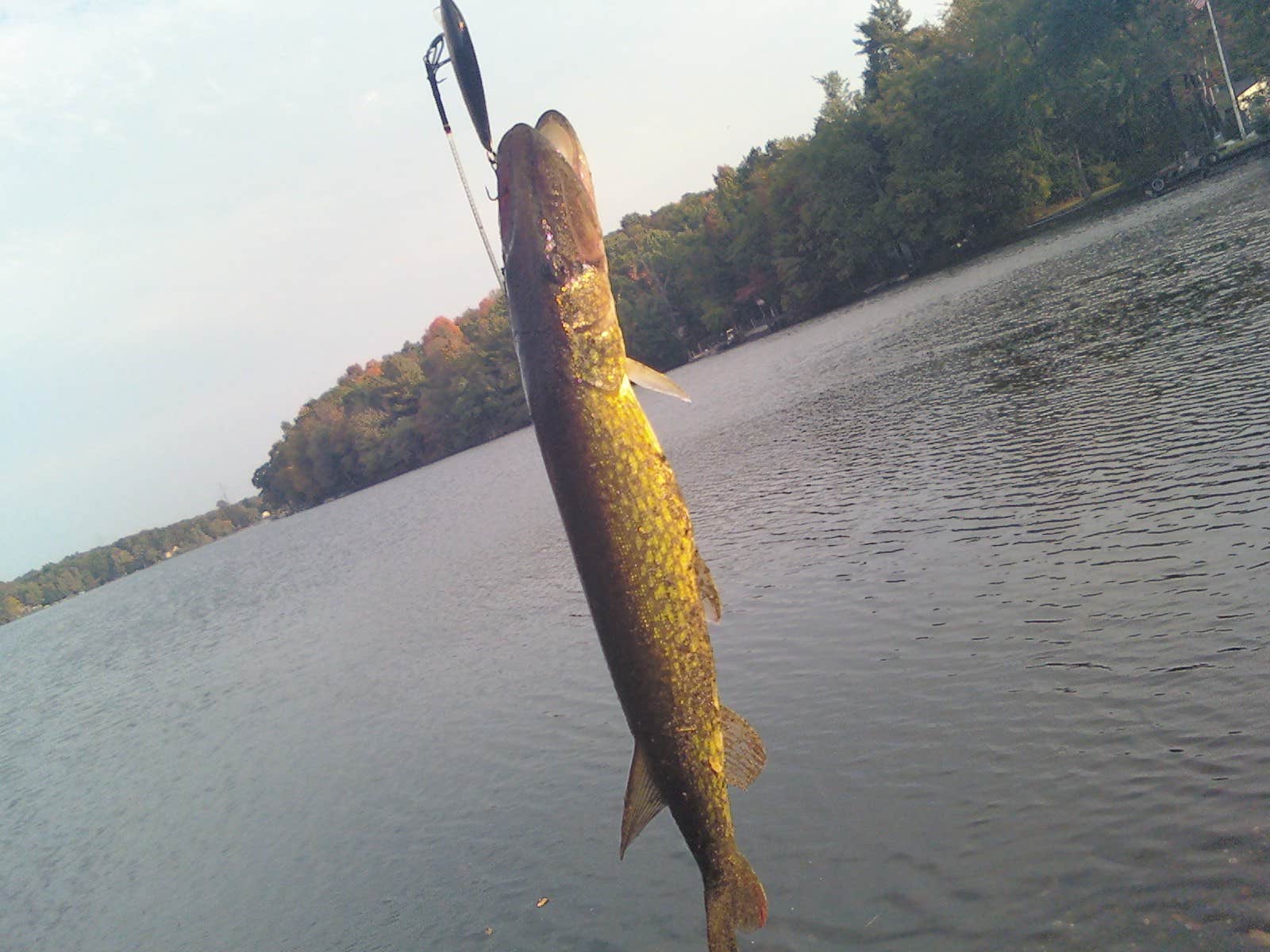 Camper-submitted photo at Lake Livingston State Park Campground near Steinhagen Lake