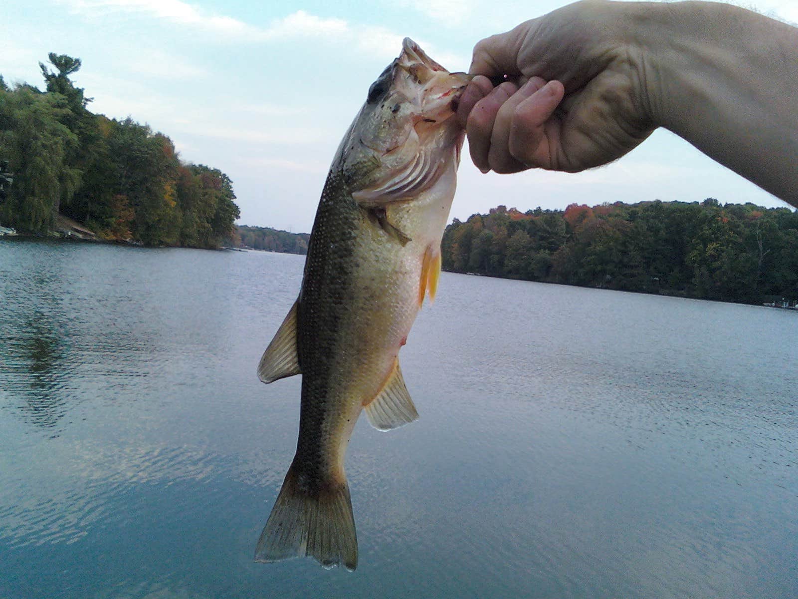 Camper submitted image from Lake Livingston State Park Campground - 4