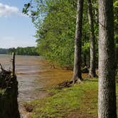 Review photo of Badin Lake Campground by Katrin M., April 30, 2019