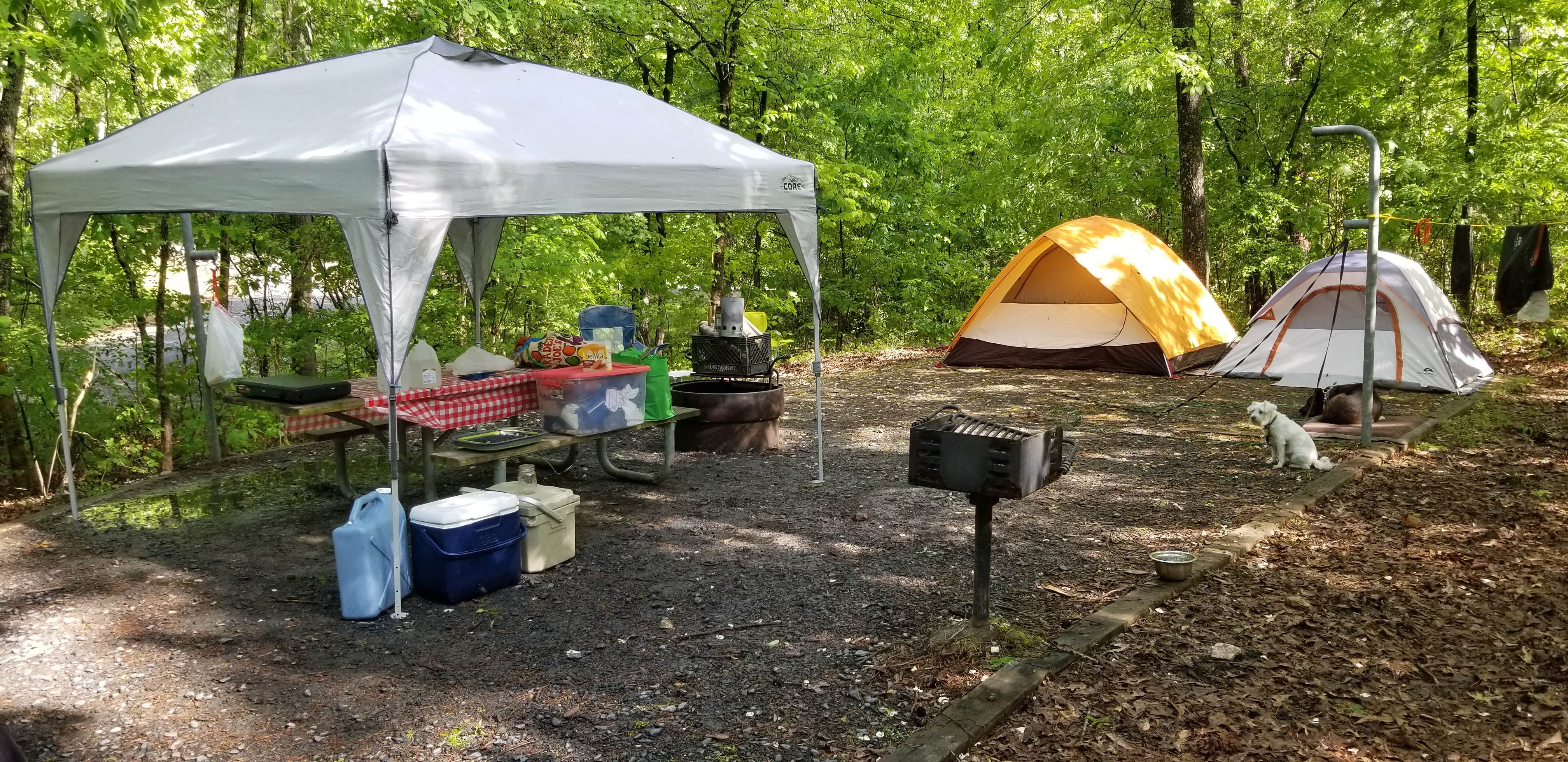 Katrin M.'s photo at Badin Lake Campground near Salisbury, NC