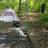 Review photo of Badin Lake Campground by Katrin M., April 30, 2019