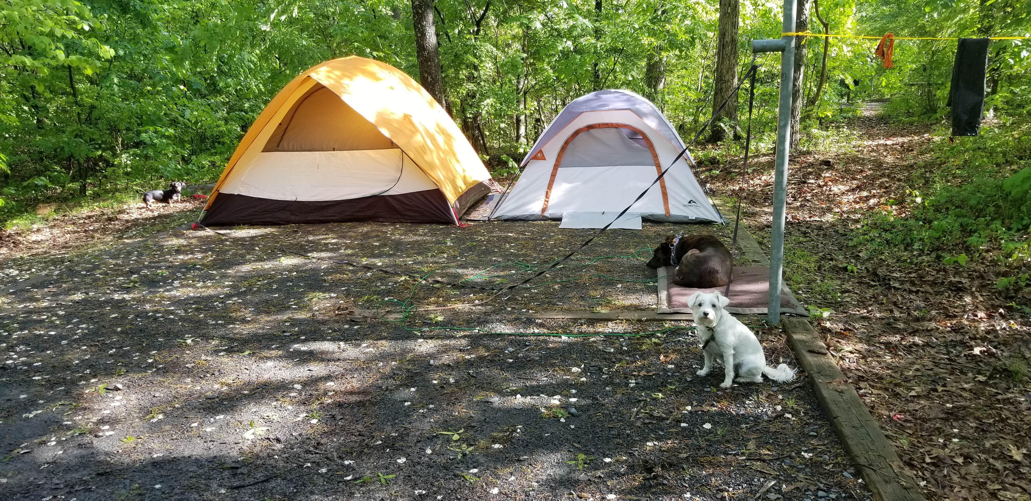 Camper submitted image from Badin Lake Campground - 5