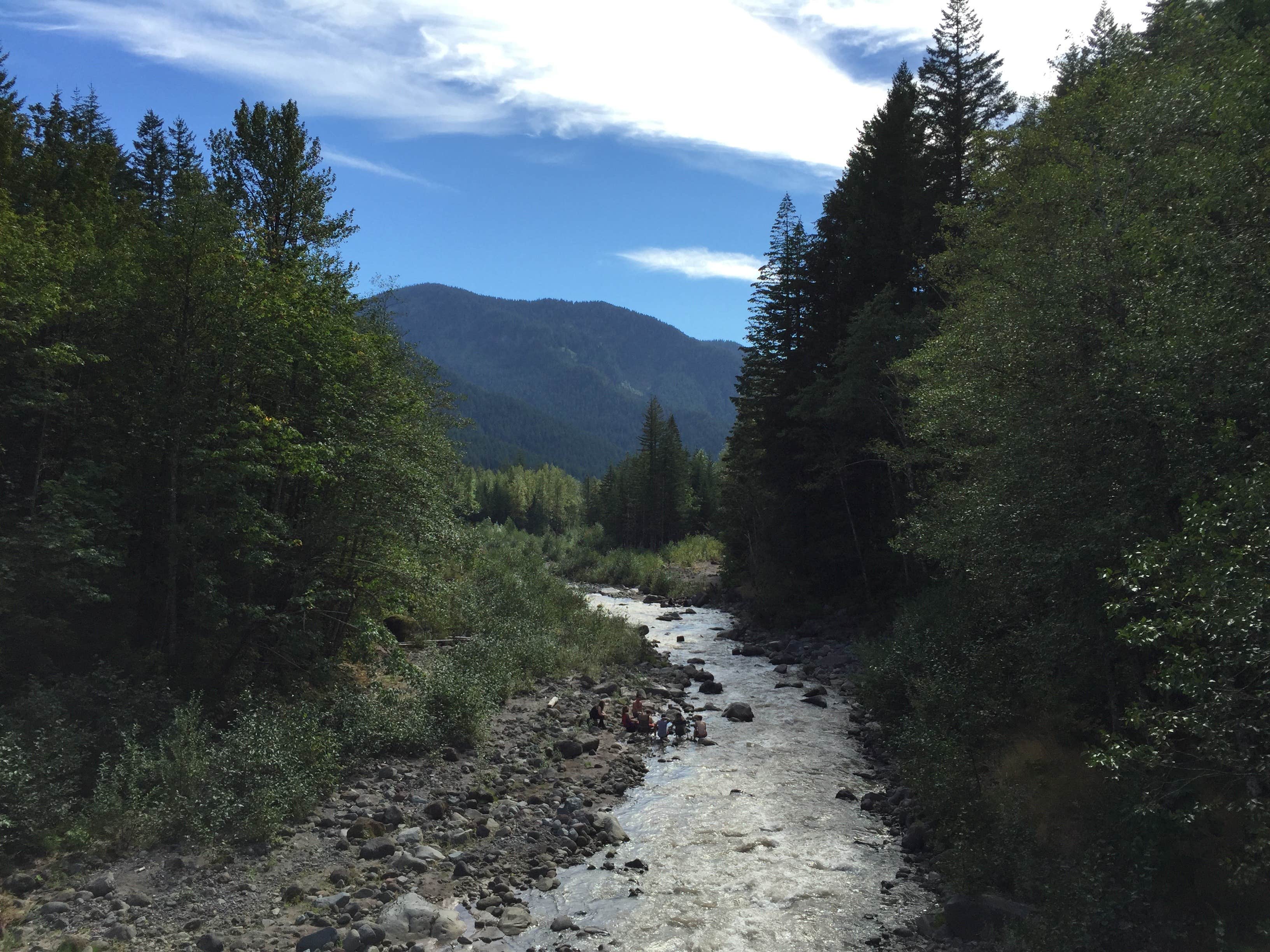 Camper submitted image from McNeil Campground - 3