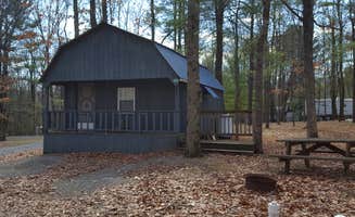 Jamie B.'s photo of a cabin at Holiday Pines Campground near Cammal, PA