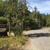 Review photo of McNeil Campground by Bjorn S., August 28, 2016
