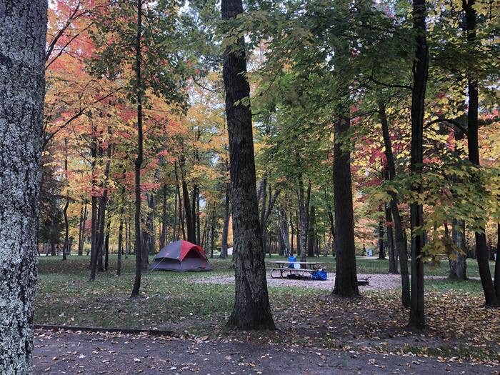 Camper submitted image from Winnie Dam Campground - 3