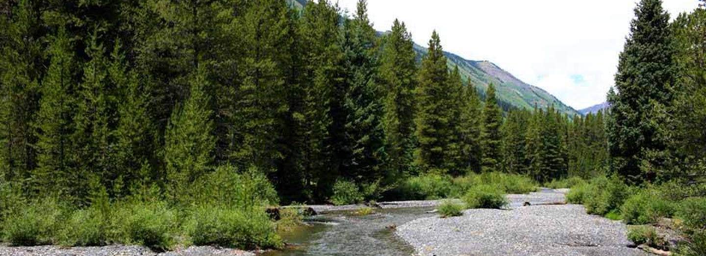 Camper submitted image from Oh Be Joyful Recreation Area - 1