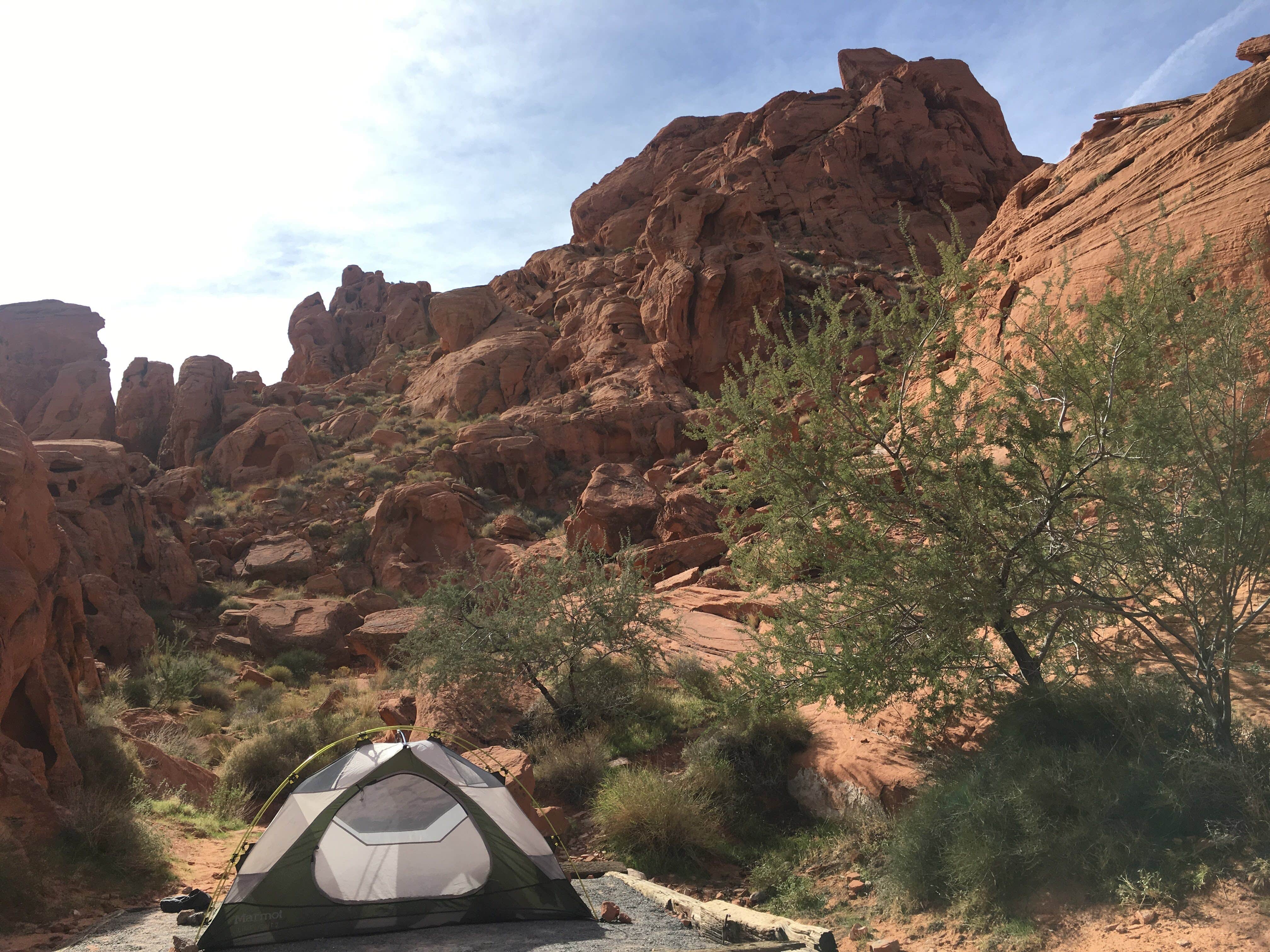 Emily L.'s photo at Arch Rock Campground — Valley of Fire State Park near Overton, NV