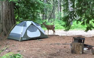 Emily L.'s photo at Bridge Creek Campground — North Cascades National Park near North Cascades National Park
