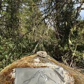 Review photo of McNeil Campground by Bjorn S., August 28, 2016