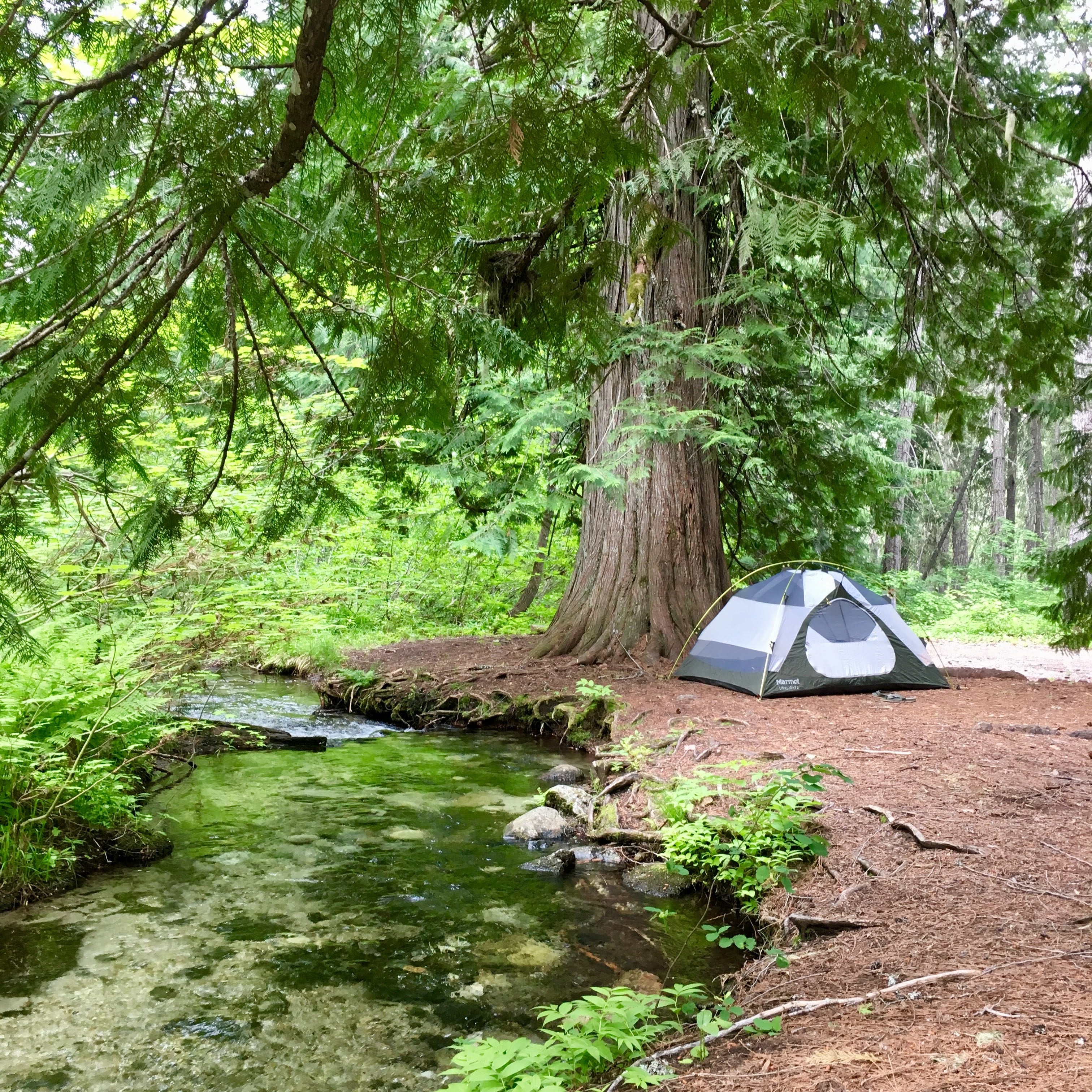 Camper submitted image from Bridge Creek Campground — North Cascades National Park - 1