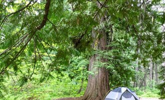 Camping near Cosho Camp — North Cascades National Park: Bridge Creek Campground — North Cascades National Park, Stehekin, Washington