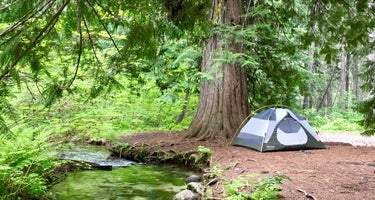 Bridge Creek Campground (North Cascades)