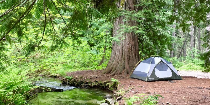 Camper submitted image from Bridge Creek Campground — North Cascades National Park