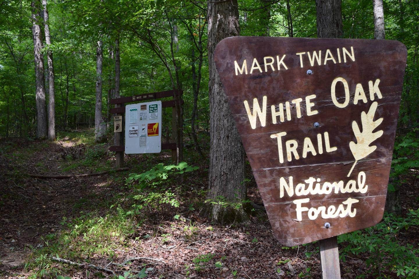 Camper submitted image from Mark Twain National Forest Float Camp Recreation Area - 1
