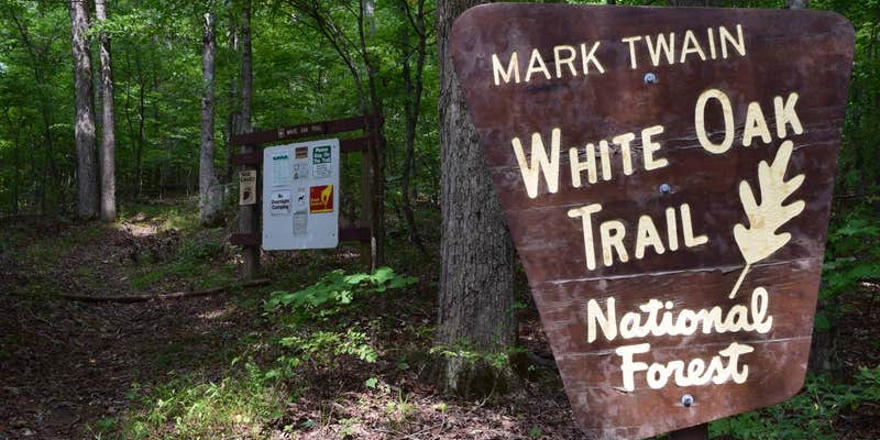 Camper submitted image from Mark Twain National Forest Float Camp Recreation Area